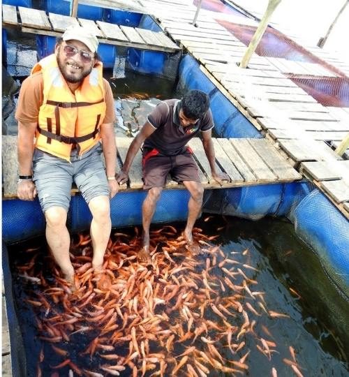 Fish Spa Experience - Sri Lanka